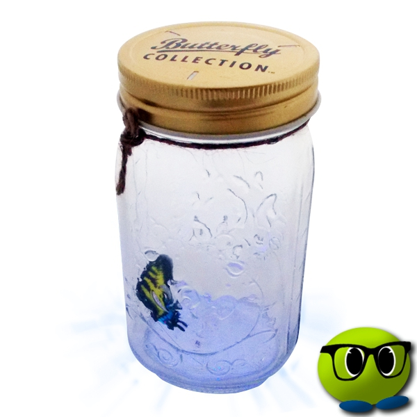 Spécial Bocal à Papillon Magique - Mrbulle 3 Spécial Bocal à Papillon Magique - Mrbulle