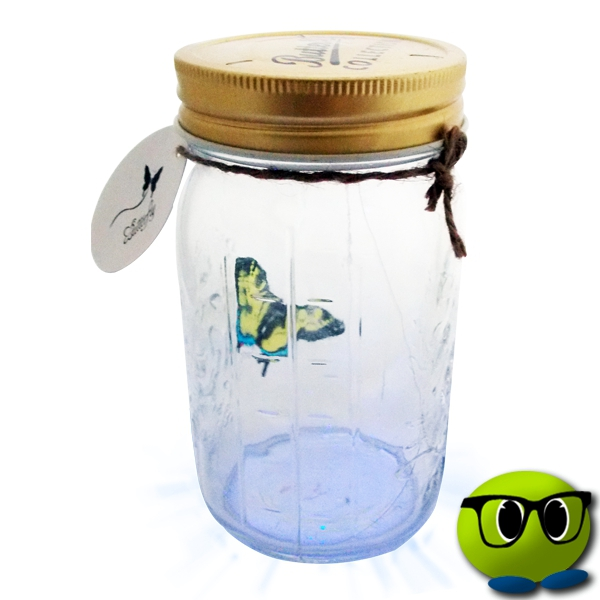 Spécial Bocal à Papillon Magique - Mrbulle 4 Spécial Bocal à Papillon Magique - Mrbulle – Image 2