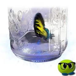 Spécial Bocal à Papillon Magique - Mrbulle 8 Spécial Bocal à Papillon Magique - Mrbulle -Magasin De Décoration 5686 photo