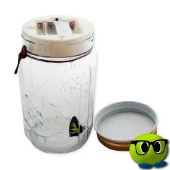 Spécial Bocal à Papillon Magique - Mrbulle 9 Spécial Bocal à Papillon Magique - Mrbulle -Magasin De Décoration 5687 photo