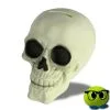Crâne Tirelire Brillante - Mrbulle 2 Crâne Tirelire Brillante - Mrbulle -Magasin De Décoration 6393 photo