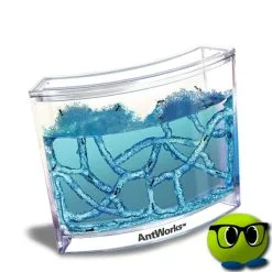 Labyrinthe Décoratif Pour Fourmis - Mrbulle 6 Labyrinthe Décoratif Pour Fourmis - Mrbulle -Magasin De Décoration 6609 photo