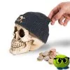 Tirelire Tête De Mort Bonnet De Pirate - Mrbulle 1 Tirelire Tête De Mort Bonnet De Pirate - Mrbulle -Magasin De Décoration 6970 photo