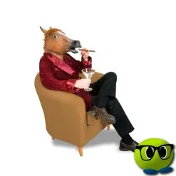 Masque Cheval Géant - Mrbulle