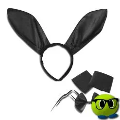 Costume 4 Pièces: Lapine Sexy Et Coquine - Mrbulle -Magasin De Décoration 7604 photo