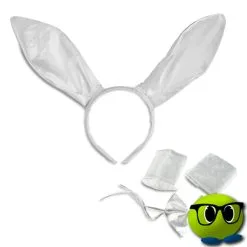 Costume 4 Pièces: Lapine Sexy Et Coquine - Mrbulle -Magasin De Décoration 7605 photo