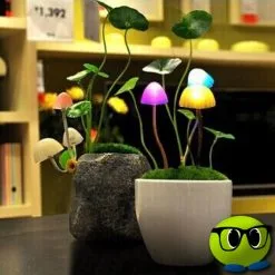 Lampe Veilleuse Avatar Moderne - Mrbulle 7 Lampe Veilleuse Avatar Moderne - Mrbulle -Magasin De Décoration 7882 photo