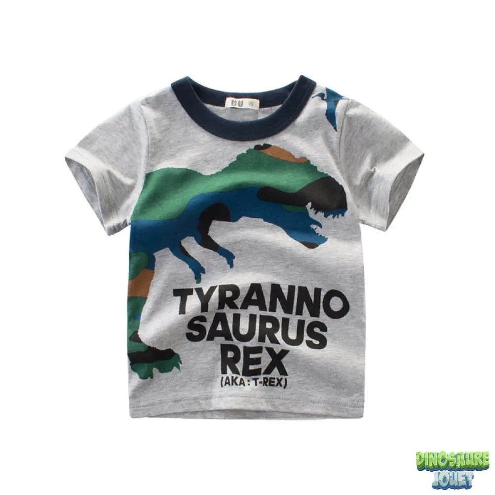 Dinosaure Jouet Tee Shirt Gris Clair 3 Dinosaure Jouet Tee Shirt Gris Clair
